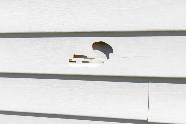 Reliable La Paloma, TX Siding Solutions