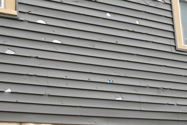 Best Engineered Wood Siding  in La Paloma, TX