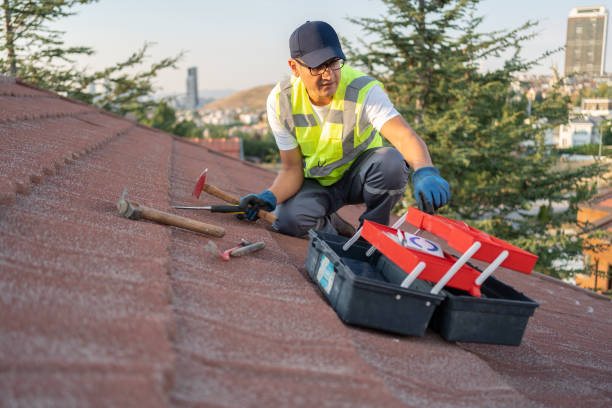 Best Fiber Cement Siding Installation  in La Paloma, TX